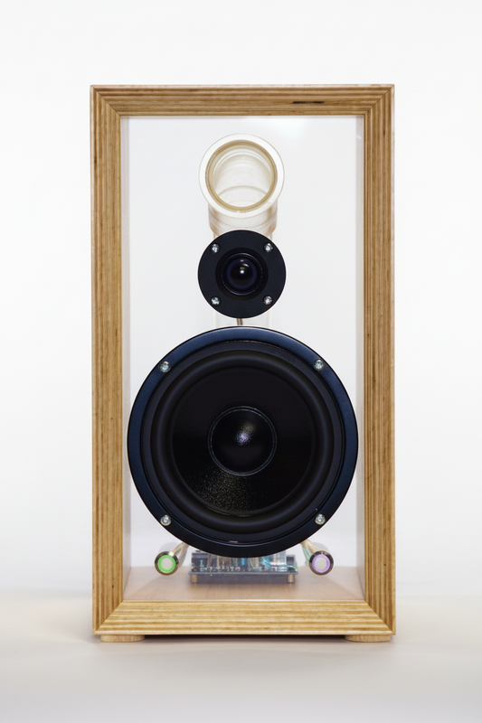 "Glass": A Premium Bluetooth Art Speaker